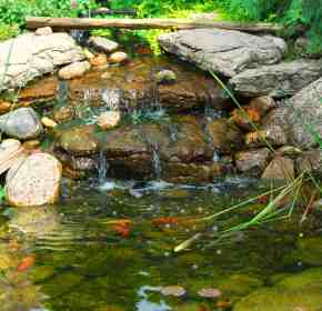 Water Features, Ponds & Garden Ornaments